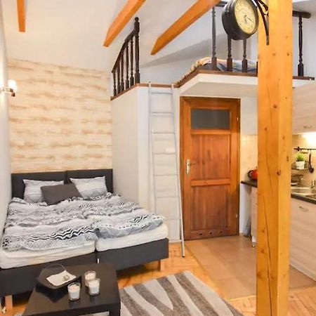Apartament Czapskich 克拉科夫 外观 照片